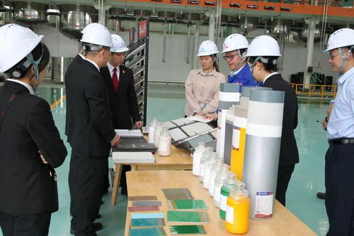 立足知識產權保護，協同企業創新發展——江州區法院舉辦新材料技術研發領域知識產權保護宣講座談會